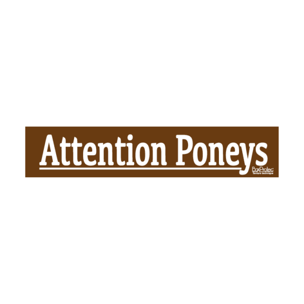 stickers attention poneys marron boxprotec