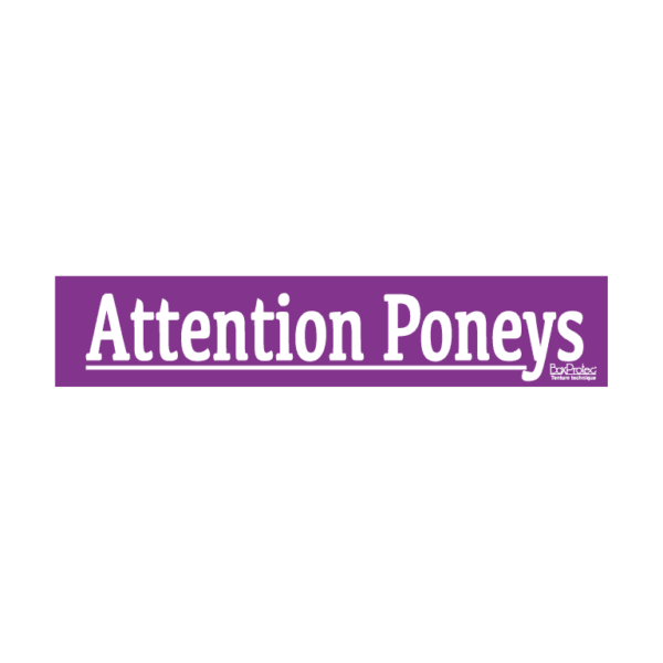 autocollant attention poneys violet boxprotec
