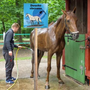 douche chevaux