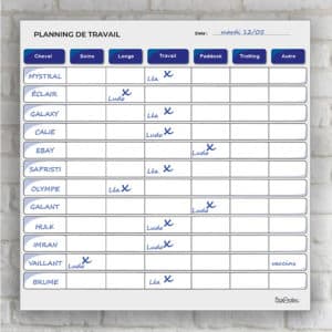 Planning de travail journalier mur blanc bleu