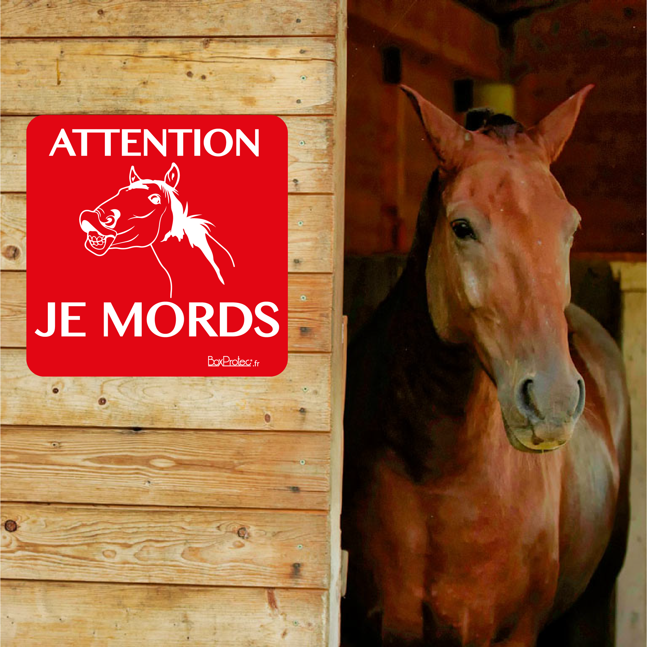 Attention chevaux arrondi