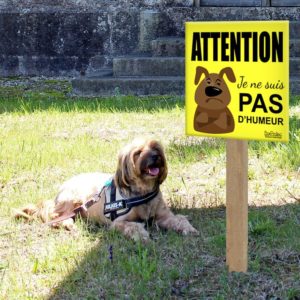 panneau attention au chien humour