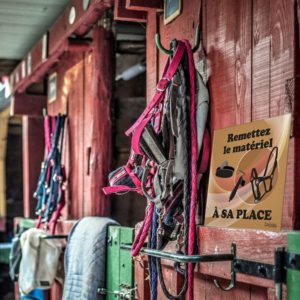 panneau remettre le matériel d'équitation à sa place