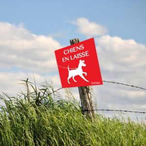 panneau tenir votre chien en laisse