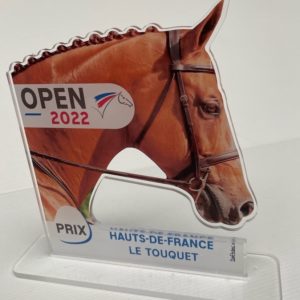 trophee plexiglass