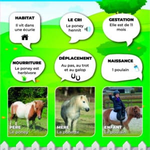 Ferme_pedagogique_Poney_ecole_education_enfant Aluminium30x40