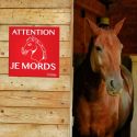 panneau attention je mords pour cheval